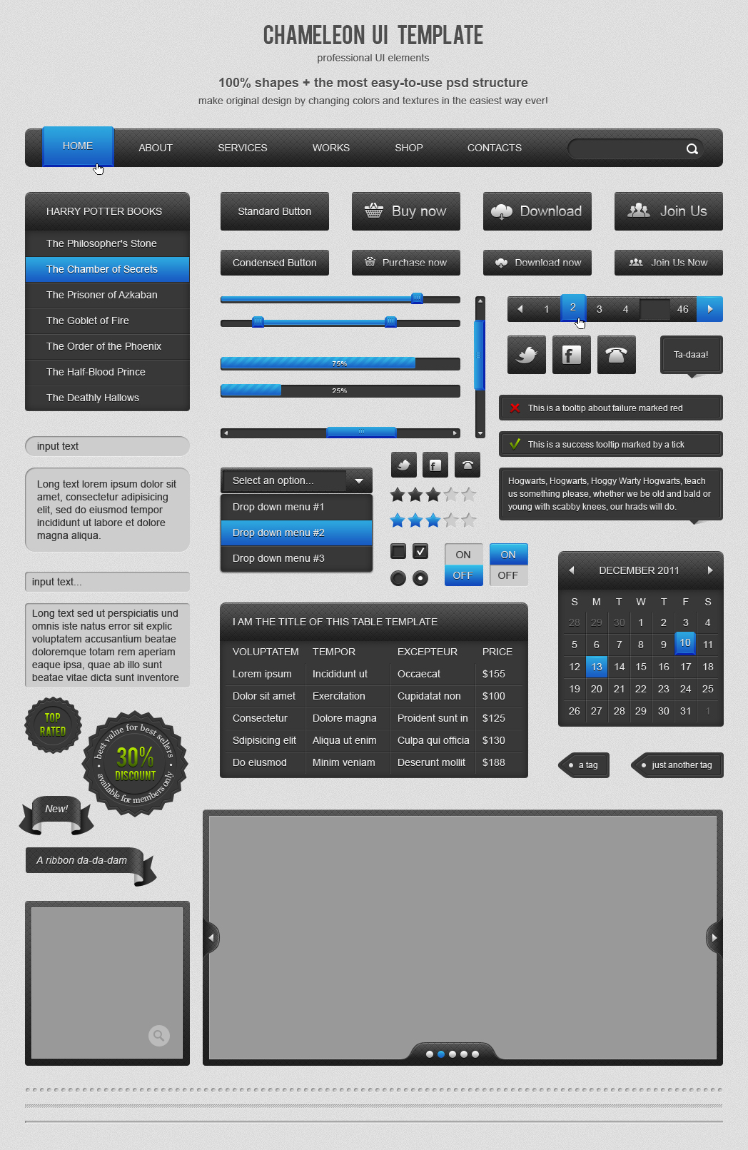 Chameleon UI Template