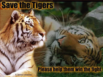 Save the Tigers