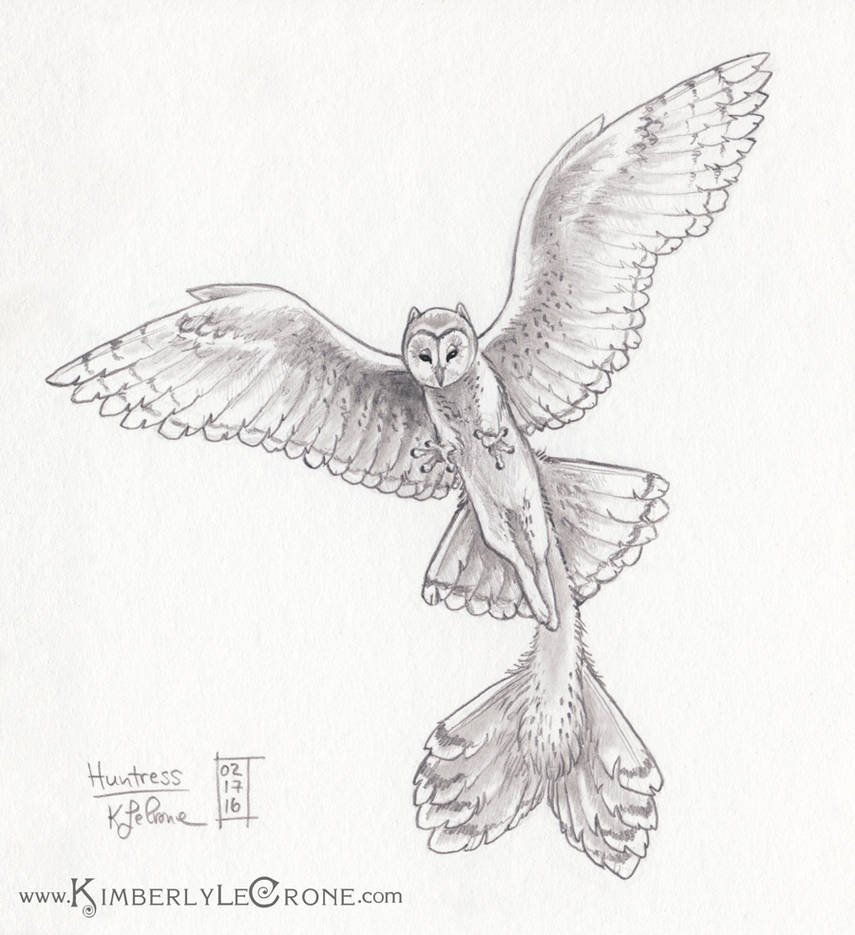 30 Day Story-Sketch Challenge: Day 16: Huntress by Dreamspirit