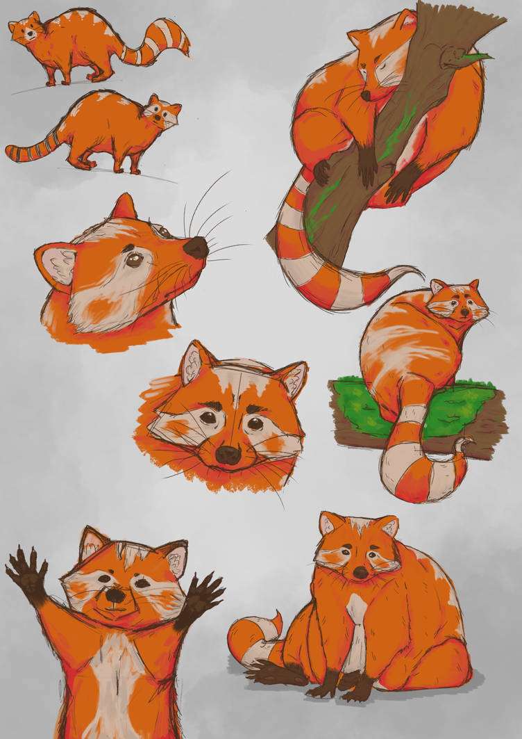 Red Raccoon Mouse Red racoon by DevilFox1o1 on DeviantArt