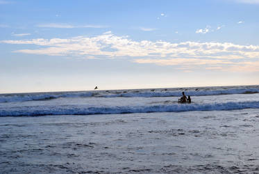 Beach Landscape