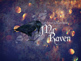 cover::mr raven