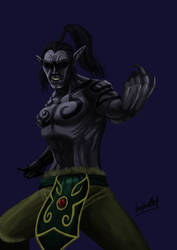 Demonhunter Illidan stormage