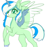 random adopt | MLP closed