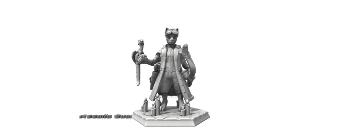 Accaila Cuan (D+D Character) Created on HeroForge