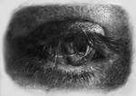 eye study by Blacleria