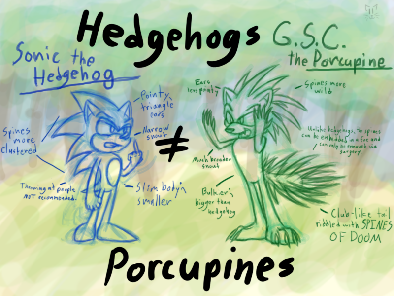 GSC - Hedgehogs n' Porcupines