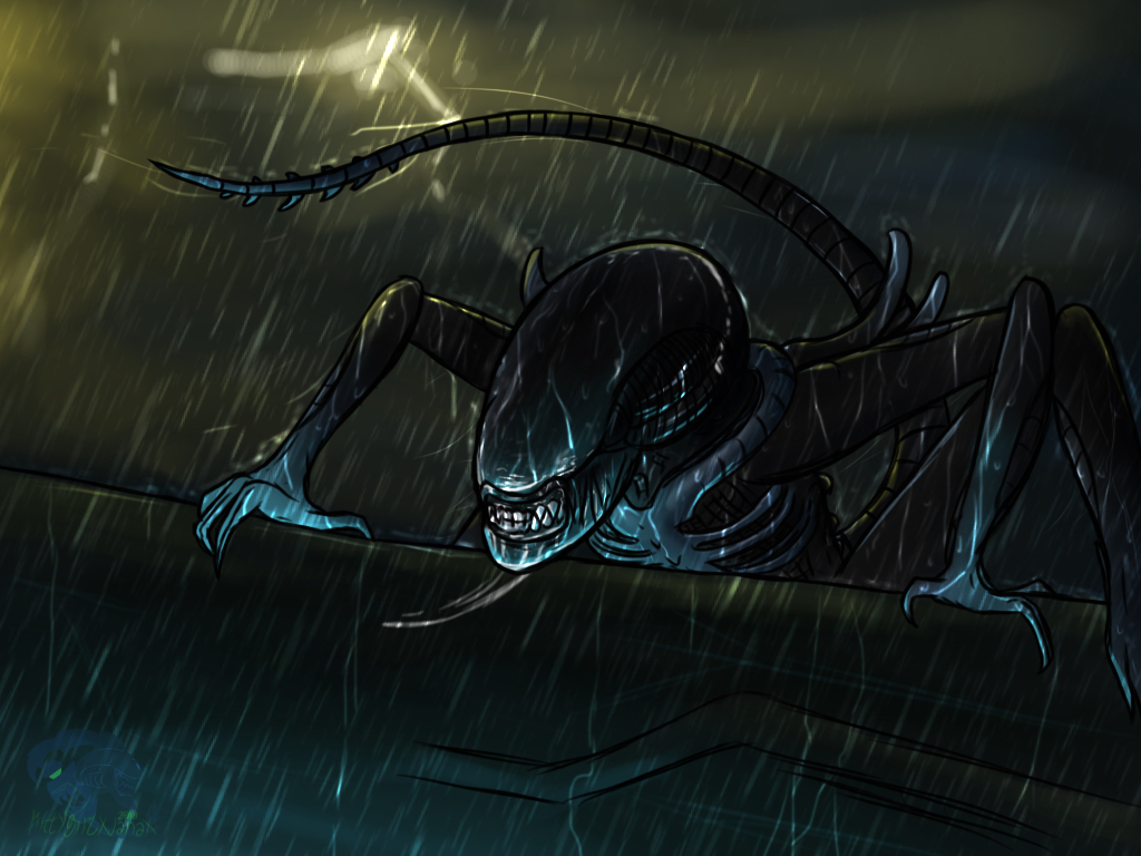 Xenovember Day 11