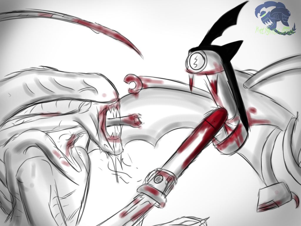 XT3 Versus The Batsput