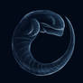 Alien Embryo