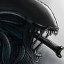 THE XENOMORPH