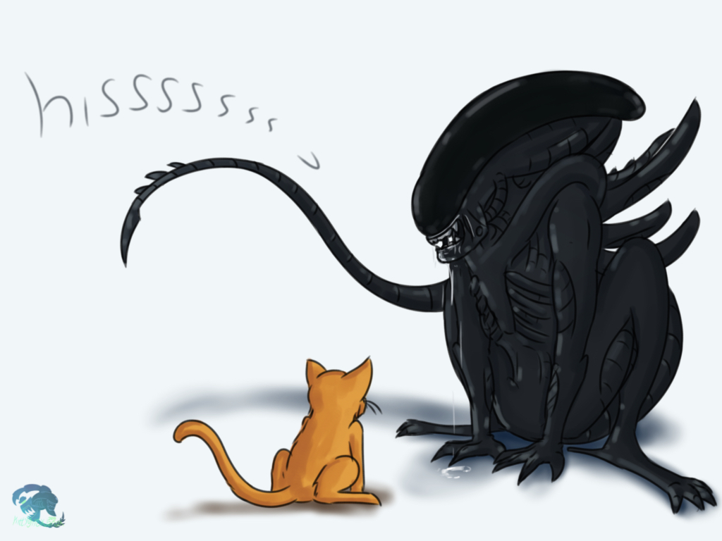 Kitties