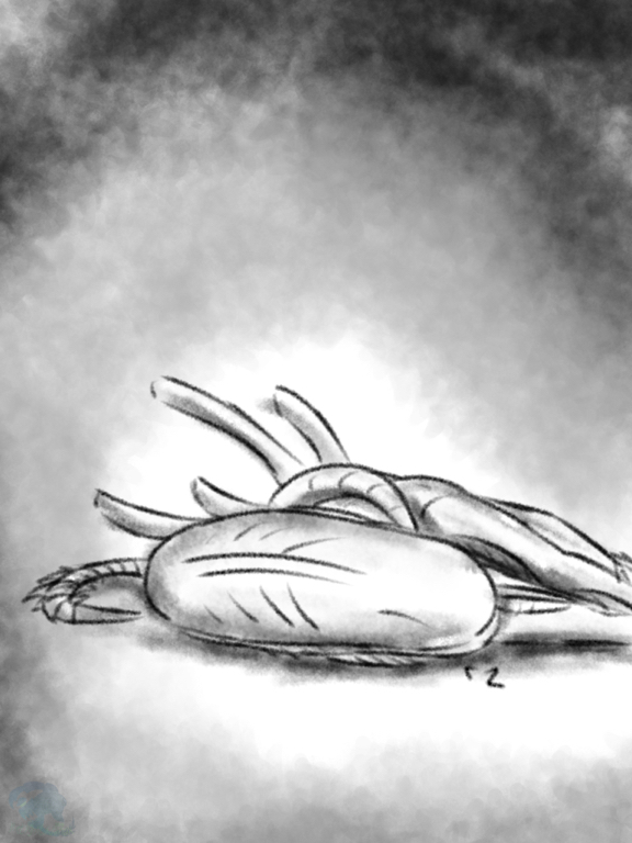 Go to sleep my little xeno~