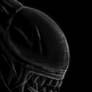 The prefect Organism