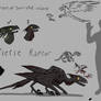 Tsetse Raptor Bio