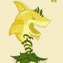Lemon shark