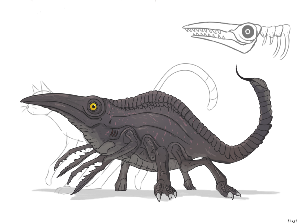 Citron evolution: ichthyscoripones