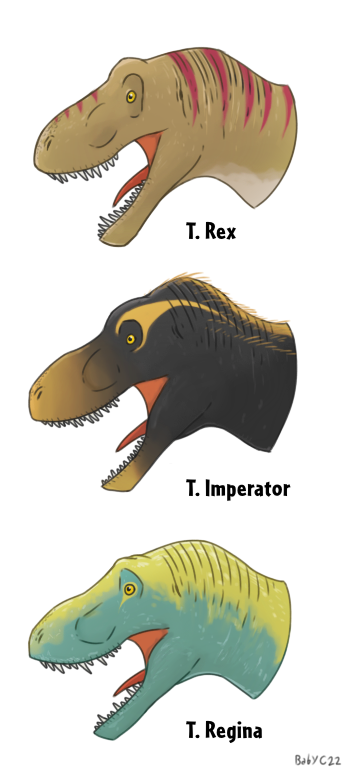 The 3 tyrannosaurs