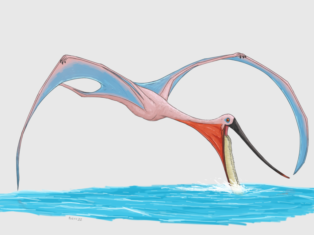 Pterodaustro