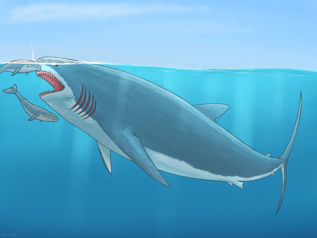 Whale eater