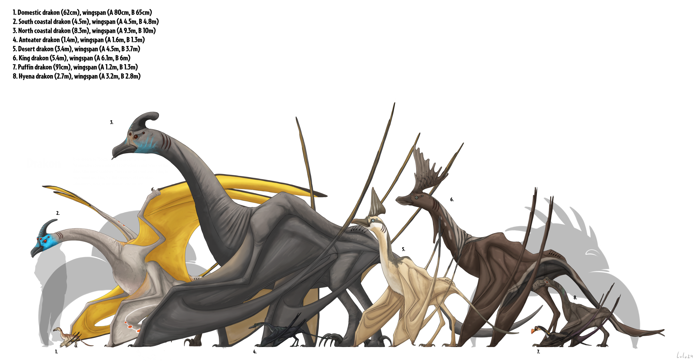 Drakon size chart