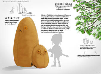 Botnomorphia: wall-nut and cherry bomb