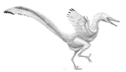 Austroraptor cabazai
