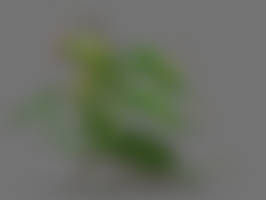 Ugly-est peashooter