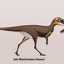 Nanotyrannus