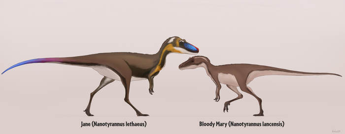 Nanotyrannus