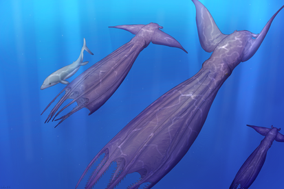 Nanaimoteuthis haggarti