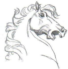 Horse 03