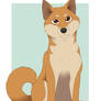 Doggust Day 23: Shiba Inu