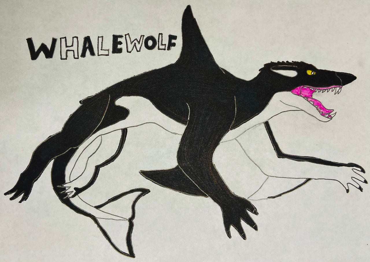 github wolfwhale Images High Quality Grahic Whalewolf by The-Whalewolf on DeviantArt