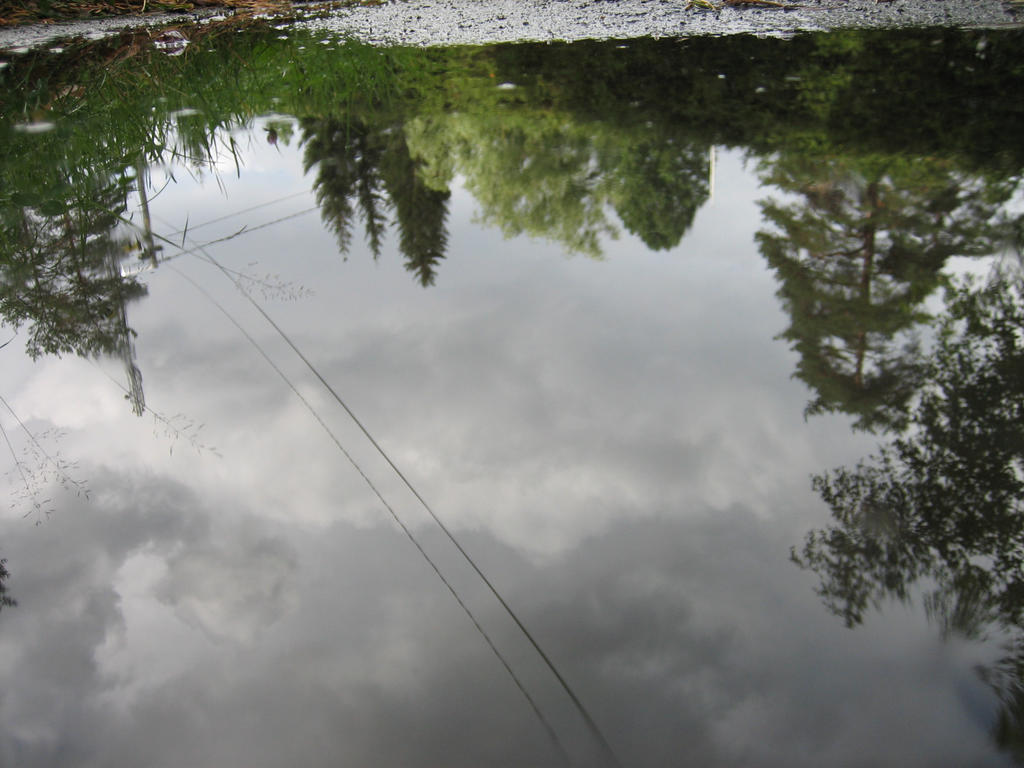 Pool reflection by Jarkho on DeviantArt