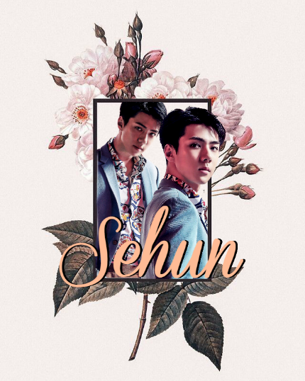 Edicion sehun