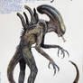 Xenomorph