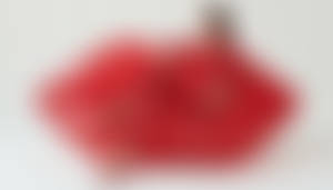 Hot-Lips Sofa 1