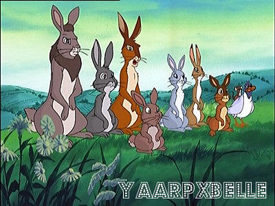 watership down pic