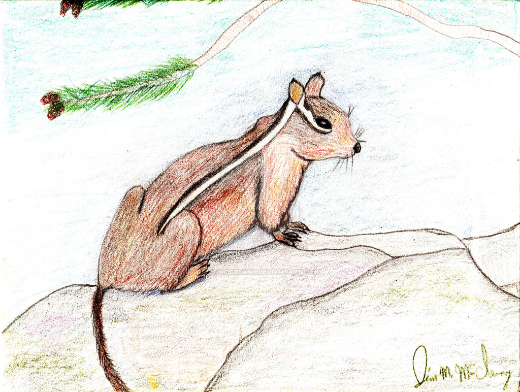Chipmonk 2 by jimmcclenny on DeviantArt
