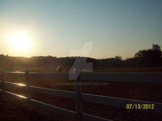 Sunrise on the ranch