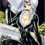 Black Cat color 2