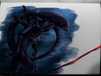 Xenomorfo fanart