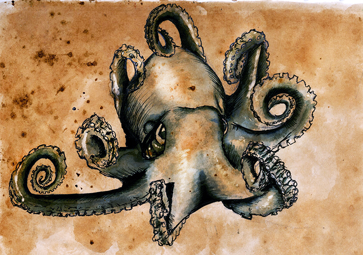 Octopus