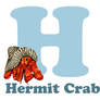 H-ermit Crab