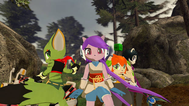 For personal use: Freedom Planet poster