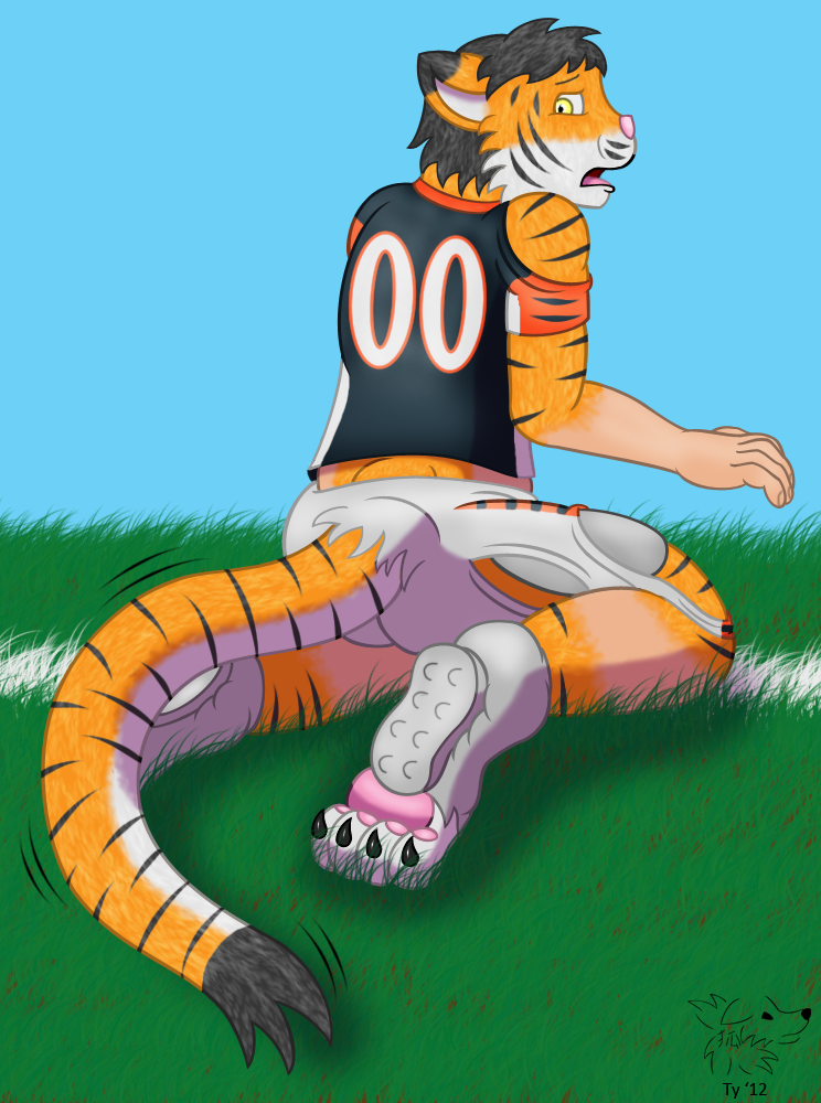 NFL TF #3: Who Dey the Bengal Tiger