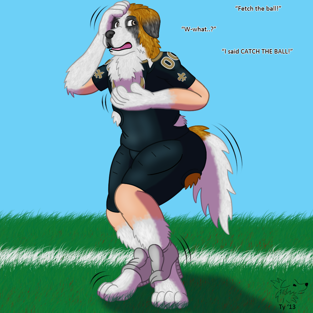 NFL TF #17: Gumbo the Saint Bernard