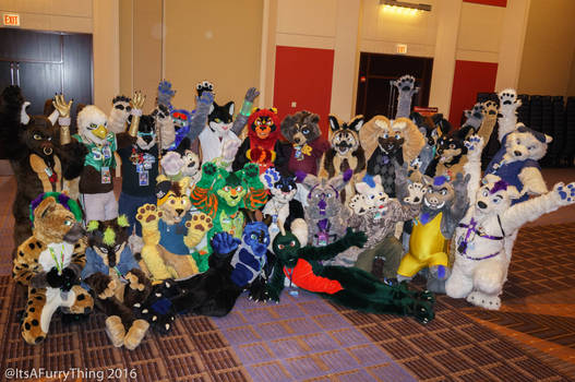 MFF 2016 - 28/38: Roofur Shoot #3