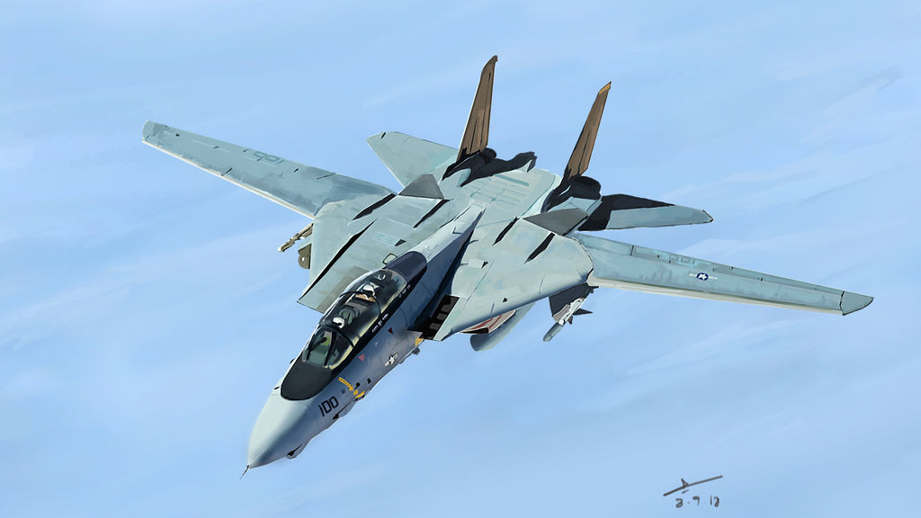 Grumman F-14 Tomcat